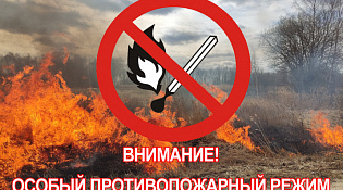 Внимание, введен особый противопожарный режим